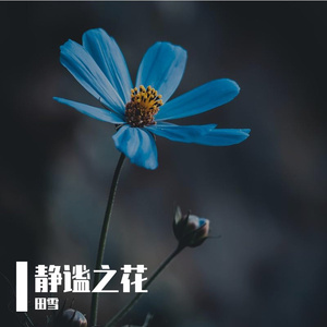 赋予生命勇敢prod by DISSPEACEX