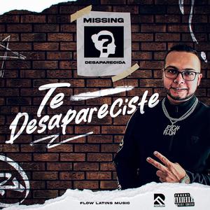 Te Desapareciste