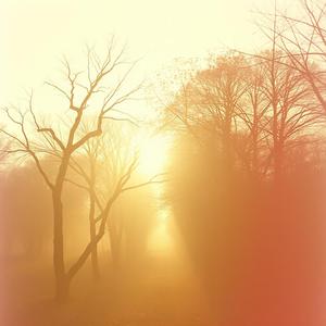 You Are My Morning Bell