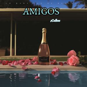 AMIGOS ❀