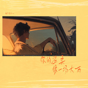 你的温柔像一场大雨