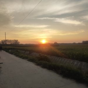 蹉跎人生