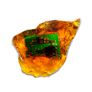 Она поехала на дачу за грибами