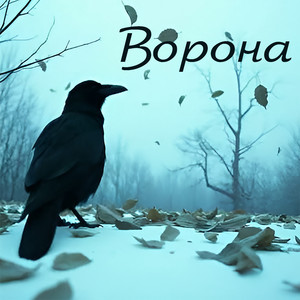 Ворона