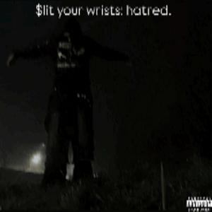 zapad slunce za mrizemi (feat. presielmavlak)