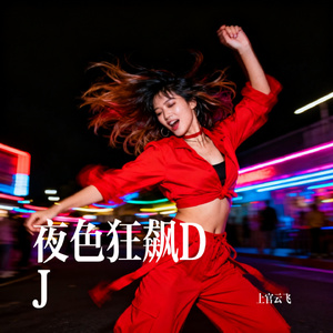夜色狂飙DJ
