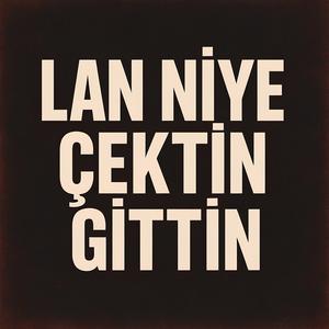 Lan Niye Çektin Gittin