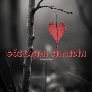 Gözyaşımı Silmedin