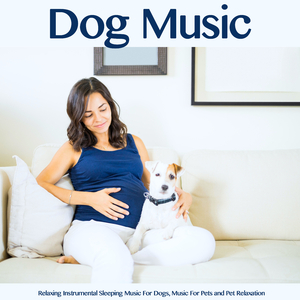Dog Music