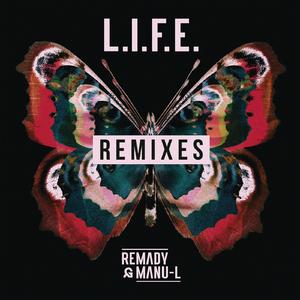 L.I.F.E. (I.GOT.U Remix)