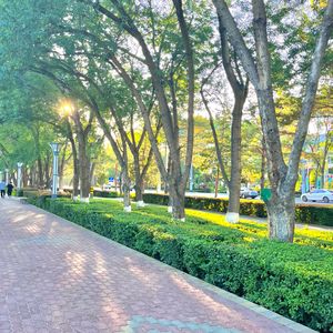 Duxmanlirim bilmisun原创版