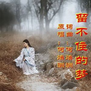 留不住的梦（何焕洲原唱）