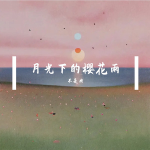 月光下的樱花雨
