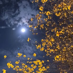 最好听的部分串烧合集