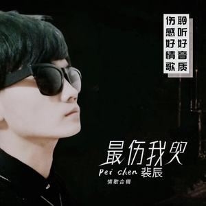 最伤我的人_伴奏