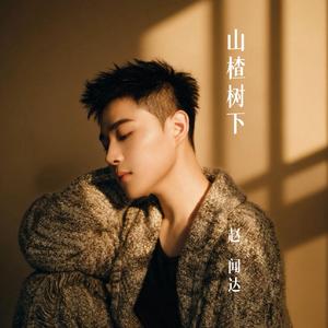 山楂树下