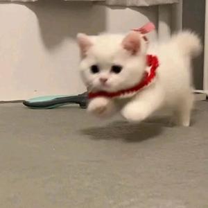 特别的人