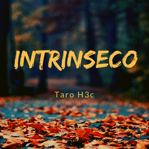 Intrínseco