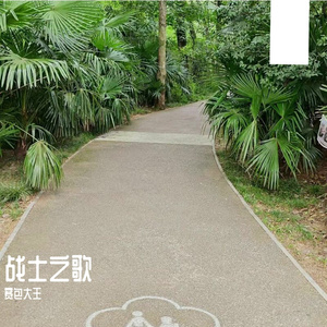 战士之歌