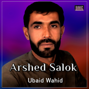Arshed Salok