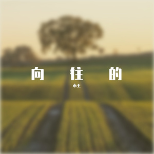 爱丫爱呀