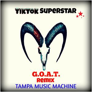 TikTok Superstar (G.O.A.T Remix)