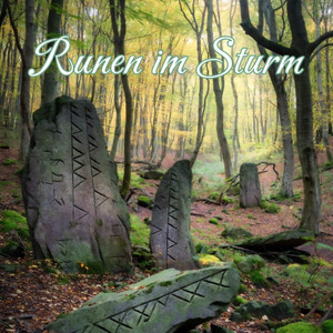 Runen im Sturm
