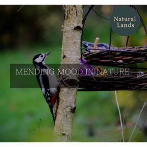 Sweet Dawn Waterfall