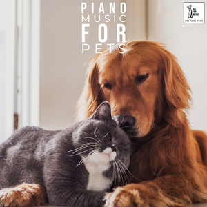 Piano Pets Hate