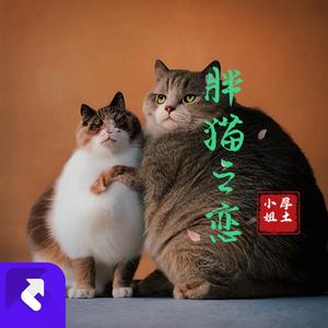 胖猫之恋（纯音乐）