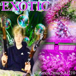 Exotic