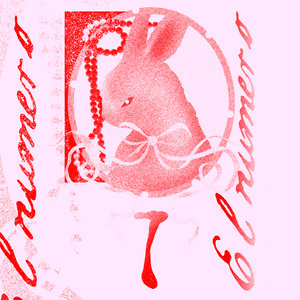 El número 7