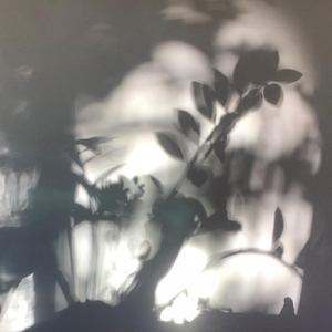 Crepuscule with Nellie