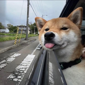 一眼万年
