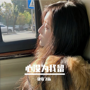 心没为我留 伴奏