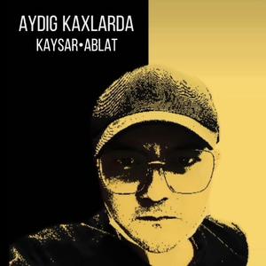 Ayding kaxlarda