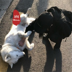 想你的时候问月亮 (DJ版)