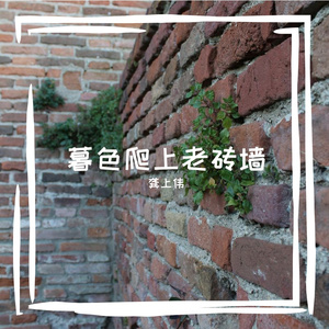 龚上伟的