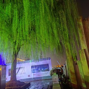 她曾是我的港湾