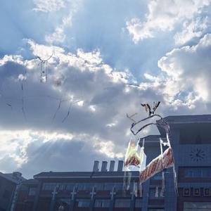 我看着你的背影，你在想我会在哪里