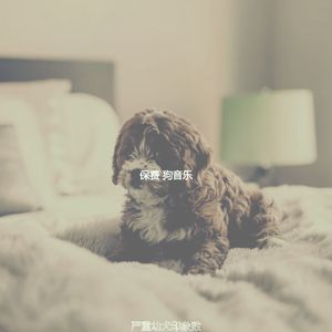 诗意的孤独的狗节奏