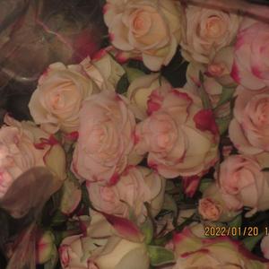 安和桥间奏 吉他