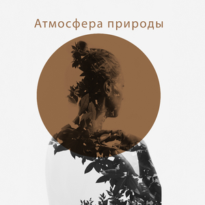 Успокоение