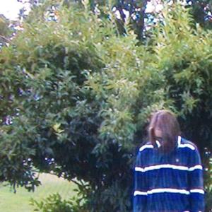 looking at the stars