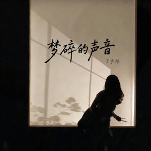 梦碎的声音
