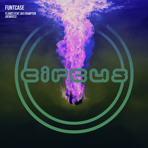 Flames (Lost Wolves Remix)