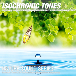 Isochronic Tones 2.67 Hz (Associated with intestines-metaphysics) 04