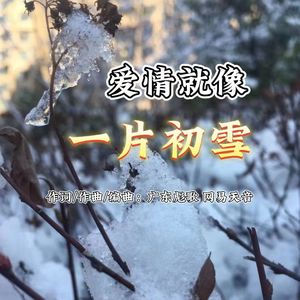 爱情就像一片初雪 伴奏
