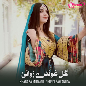 Kharaba Mi Da Gul Ghundi Zawani Da