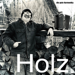 Silberfischchen in Der Küche